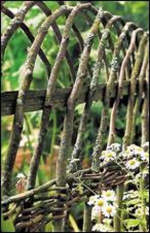 Spacing and form by Skelly turns a wattle fence from utilitarian into a work of art. Note the many angles represented through the use of cross-weaving and naturally bending branches. Click for a larger image Cerca Natural, Wattle Fence, Willow Fence, Natural Fence, Living Fence, Flowers Growing, Fence Gate, Wooden Fence, Garden Fencing