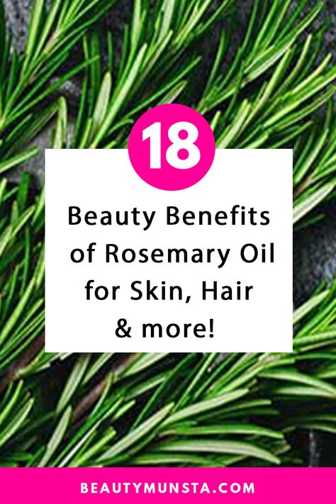 18 Beauty Benefits of Rosemary Essential Oil for Skin & Hair - beautymunsta - free natural beauty hacks and more! What Is Rosemary Essential Oil Good For, Rosemary Water For Face, Rosemary For Hair Benefits, Rosemary Oil Benefits Hair Growth, Uses For Rosemary Essential Oil, Rosemary Oil For Hair Benefits, Rosemary Oil For Face Skin Care, Rosemary Water For Skin, Rosemary Hair Benefits