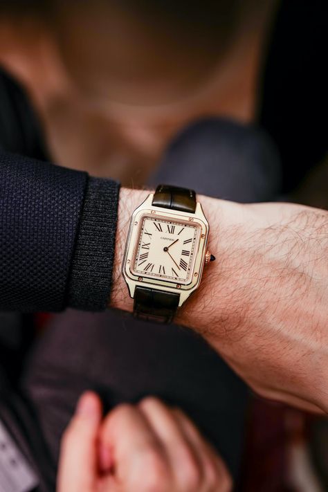 Cartier Dumont, Cartier Santos Men, Cartier Mens Watch, Santos Cartier, Cartier Santos Watch, Cartier Santos Dumont, Watch Outfit, Cartier Watches Mens, Watch Photography