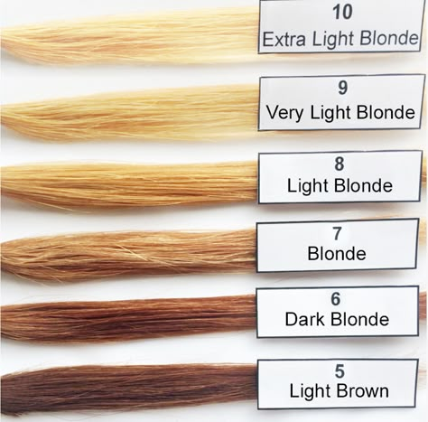 Hair Coloring Levels...Make sure you lift all the way up to level 9 if you want to get to a true ash blonde! Bleach Levels Hair Color, Hair Levels 1-10 Chart Bleach, Hair Lift Levels, Level 8 Blonde Hair, Undertone Hair, Bleached Hair Ideas, Blonde Hair Levels, Levels Of Hair Color, Level 8 Blonde