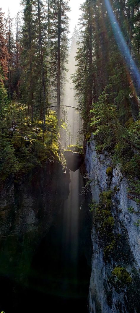 Cool Wallpaper Maligne Canyon, Jasper Alberta, Canada Photography, World Wallpaper, Nature Mountains, Cool Wallpapers For Phones, Wild Nature, Alberta Canada, Design Creative