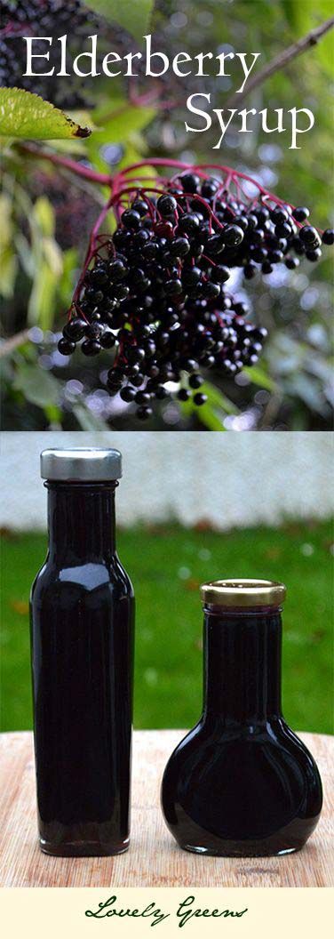 Elderberry syrup Fancy Desserter, Elderberry Benefits, Elderberry Syrup Recipe, Elderberry Juice, Homemade Elderberry, Cordial Recipe, Elderberry Recipes, Homemade Syrup, Herb Recipes