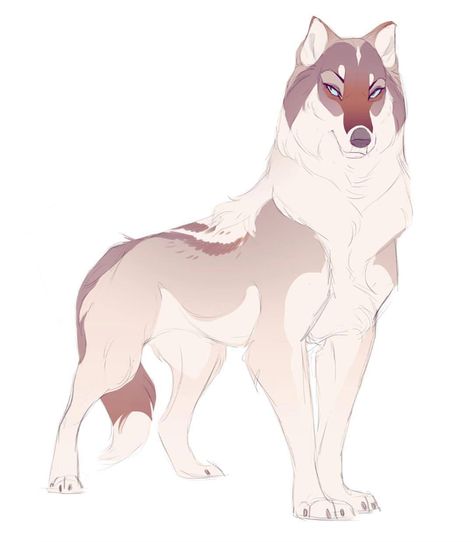 Another character doodle! ✏️ Wolf Base Poses, Feral Oc, Anime Wolf Drawing, Dog Design Art, Wolf Designs, Canine Drawing, Wolf Character, Wolf Artwork, Fantasy Wolf