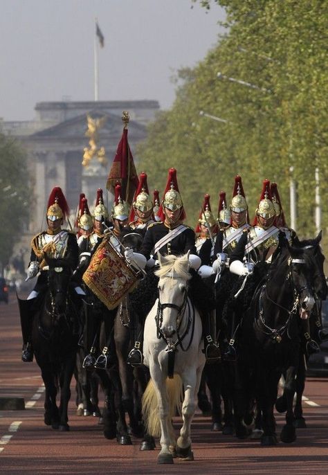 British Royal Wedding, Tennessee Vols Football, British Guard, Royal Horse Guards, Household Cavalry, Horse Guards Parade, Horse Guards, Ride Along, Royal Guard