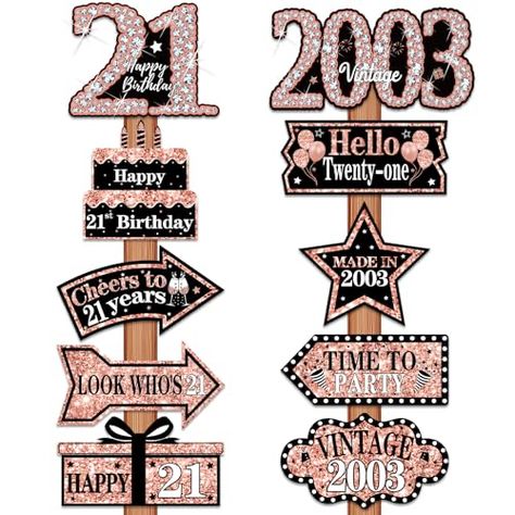 21 Birthday Themes For Women, 21st Bday Decorations, 21st Birthday Themes, 21st Birthday Banner, Birthday Decorations For Women, 21st Birthday Sign, Birthday Photo Booth, Birthday Door, Twenty First Birthday