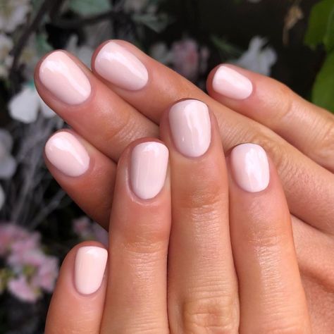 Which one is your favourite? A round up of our Spring Fling favourites 💅🌸#14daymani #gelmani #gelmanicure #springnails #springnailinspo #gelswatch #springmani #springflingtrio Pink Gel Nail Polish, Dynamic Trio, Neutral Pink, Pink Gel Nails, Gel Nail Tips, Pink Gel, Gel Mani, Nail Essentials, Gel Polish Colors