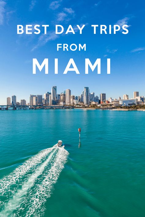 Visiting Miami and want to make the most of your stay? Here’s a list of the 10 best day trips from Miami. All top Florida destinations, along with travel time, tips on what to see and do and more. Birthday Trip Itinerary, Visiting Miami, Miami Birthday, Travel Florida, Florida Destinations, Birthday Trip, Manatees, Kayak Trip, American Travel