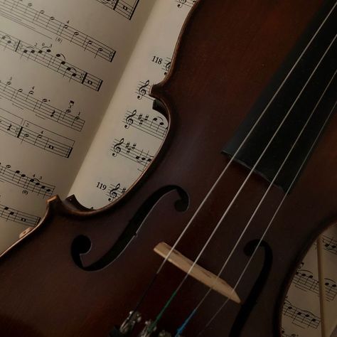 Cello Dark Academia, Music Prodigy Aesthetic, Fiddle Aesthetic, Prodigy Aesthetic, Violin Aesthetic, Violin Design, Violin Music, Music Aesthetic, The Secret History