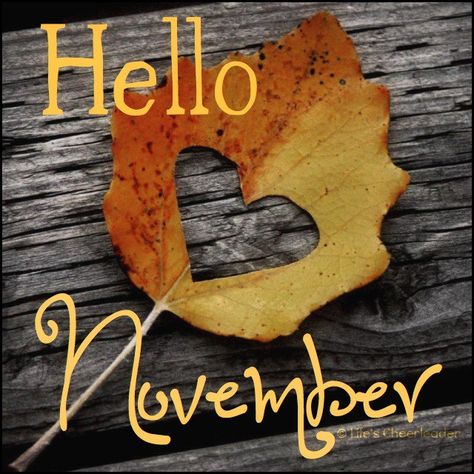 Happy November 1st! November Images, Neuer Monat, Welcome November, Sweet November, Happy November, November Month, Hello November, November Birthday, Jelly Belly