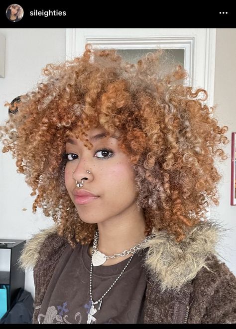 Hair Ideas For Natural Hair, Afro Hair Dye, Dyed Hair Ideas, Dyed Curly Hair, Highlights Curly Hair, Temporary Hair Dye, Curly Hair Videos, Dyed Hair Inspiration, Different Hair Colors