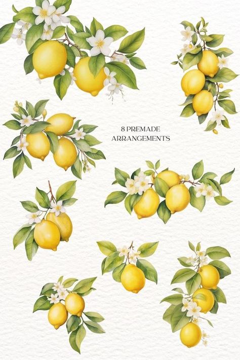 #CreativeClipart #ClipartCollection #DigitalArtElements #ClipartForDesigners #GraphicResources #ClipartSet #PrintableClipart #DigitalDownloadArt #ArtForCreators #DIYClipart Lemon Design Art, Lemons Watercolor Painting, Lemon Art Paintings, Lemon Aesthetic Art, Lemons Watercolor, Lemon Prints, Lemons And Flowers, Lemon Png, Lemon Poster