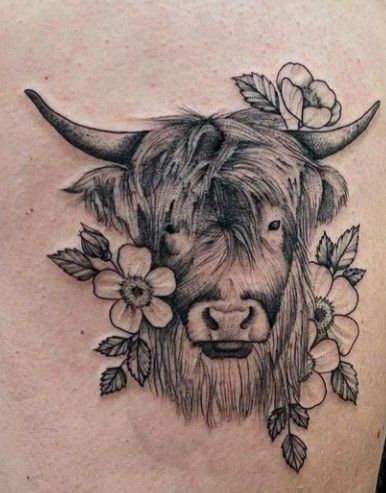 Hiland Cow Tattoos, Flower Cow Tattoo, Highland Coo Tattoo, Floral Cow Tattoo, Country Style Tattoo For Women, Hyland Cow Tattoo, Highlander Cow Tattoo, Fluffy Cow Tattoo, Highlander Tattoo