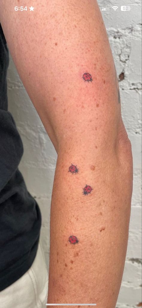 Ladybug Hand Tattoo, Stick Bug Tattoo, Lil Tattoo, Ladybug Tattoo, Leopard Tattoos, Lady Bug Tattoo, Funky Tattoos, Bug Tattoo, Cute Little Tattoos