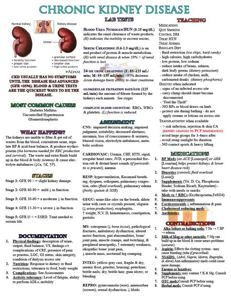 A Nursing Cheat Sheet to Assist in the Txmt of a Patient with CKD    https://www.facebook.com/Encouragement4Nurses?ref=tn_tnmn Nursing Cheat Sheet, Nursing Cheat, Nursing Information, Nursing Assessment, Nursing Mnemonics, Chronic Kidney, Nursing School Studying, Nursing School Tips, Nursing School Notes