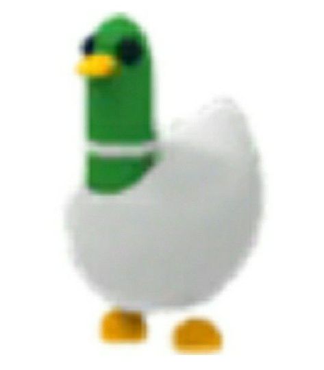 Roblox Duck, Tiktok Items, Low Poly Animals, Silly Duck, Duck Photo, Low Poly Games, Duck Art, Adopt Me, Blender 3d