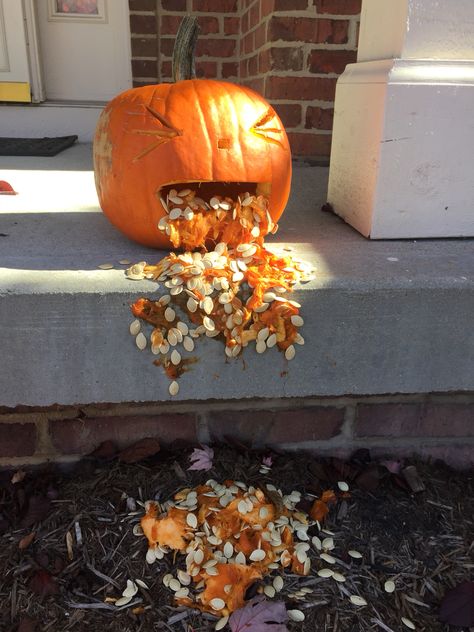 fun fall festivities!!:) throwing up pumpkin Throwing Up Pumpkin, Pumpkin Throwing Up, Up Pumpkin, Fall Festivities, Carving Ideas, Fall Festival, Yard Ideas, Fall Fun, Pumpkin Carving