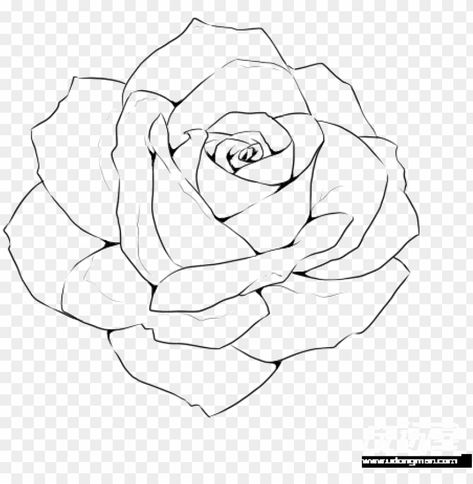 Rose Drawing Simple Sketch, Roses Outline, Rose Draw, Rose Outline Drawing, Rose Flower Sketch, Rose Line Drawing, Realistic Rose Drawing, Studio Mural, Rose Flower Drawing