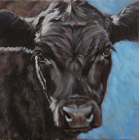 Cattle Decor, Cow Paintings On Canvas, Cow Paintings, Angus Cow, Angus Cattle, Cow Artwork, Cow Drawing, Western Artwork, Acrylic Art Projects