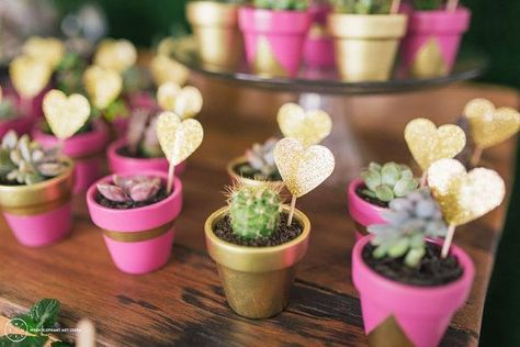 Bomboniere Ideas, Bonbonniere Ideas, Wedding Bomboniere, Succulents Wedding, Succulent Wedding Favors, Succulent Favors, Potted Succulents, Cactus Party, Modern Bridal Shower