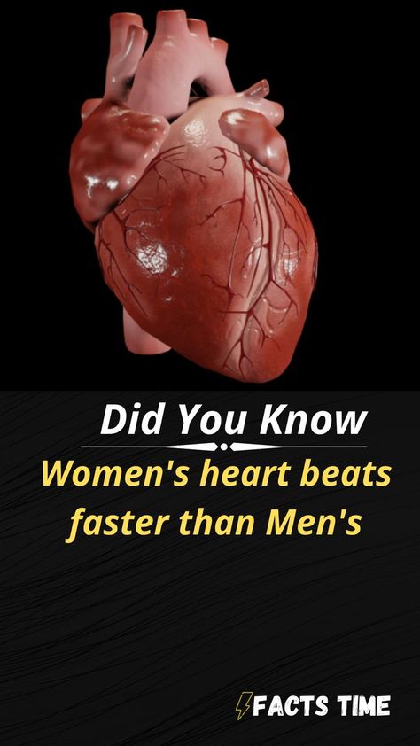 HUMAN BODY FACT|WOMEN FACT|FACTS TIME Heart Diagram, Body Facts, Human Body Facts, Facts About Humans, Women Facts, Biology Facts, Cool Science Facts, Mind Blowing Facts, Circulatory System