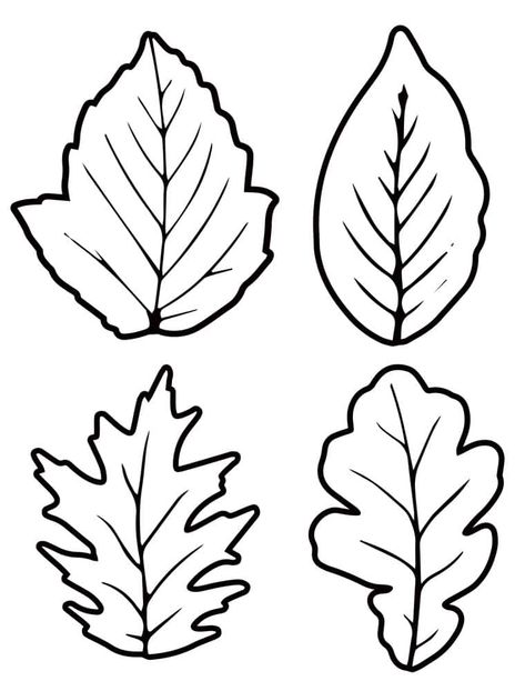 8 Fall Leaf Template Printable Outlines: Different Sizes Free - A Crafty Life Different Leaf Shapes, Fall Leaf Printable, Flower Outline Printable, Small Leaf Template Printable Free, Printable Leaves Leaf Template, Leaf Coloring Page Free Printable, Free Leaf Template Printable, Leaf Shapes Template, Leaf Template Printable Free Large