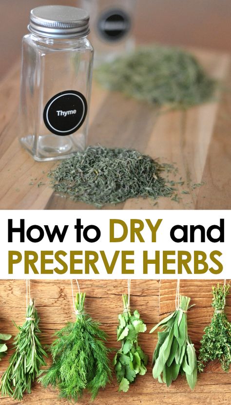 Herbs Drying, Preserve Herbs, Drying Fresh Herbs, Gardening Herbs, Gardening Indoors, Preserving Herbs, Medicinal Herbs Garden, Garden Hacks, Herbs For Health