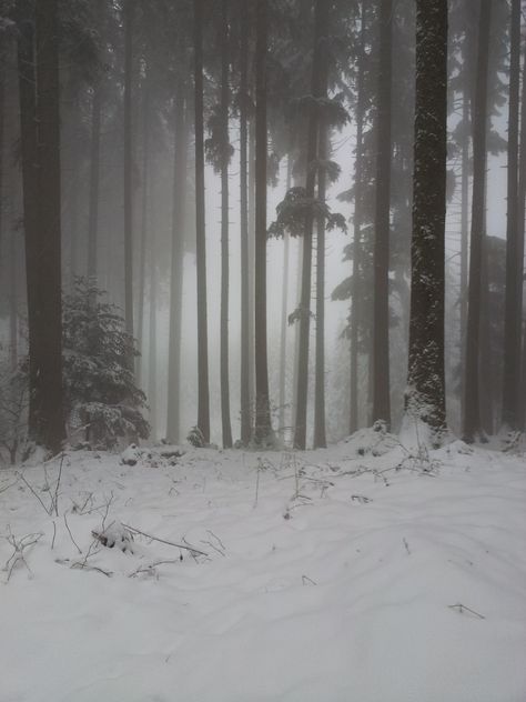 Dark Snowy Mountains, Snowy Forest Photography, Snowy Woods Night, Snowy Mountain Forest, Snow Woods Aesthetic, Forest Snow Aesthetic, Snowy Woods Aesthetic, Snowy Kingdom Aesthetic, Snowy Mountain Aesthetic