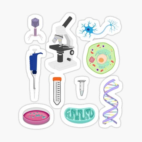 "Biology pack" Sticker for Sale by emm416 | Redbubble Cute Biology Stickers, Biology Stickers, Human Body Organs, Labs Art, Diy Photo Book, Science Stickers, Biology Art, Picture Editing Apps, Cute Laptop Wallpaper