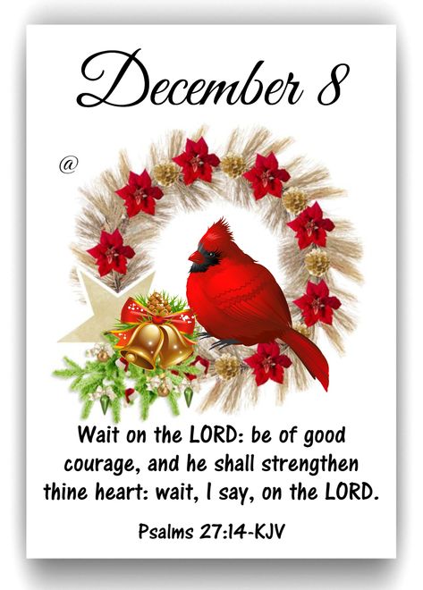 December 8~~J~ Psalms 27:14 December Scriptures, December Images, Words Of Faith, Christmas Verses, December Quotes, Scripture Images, Christmas Scripture, Christmas Bible Verses, Merry Christmas Message