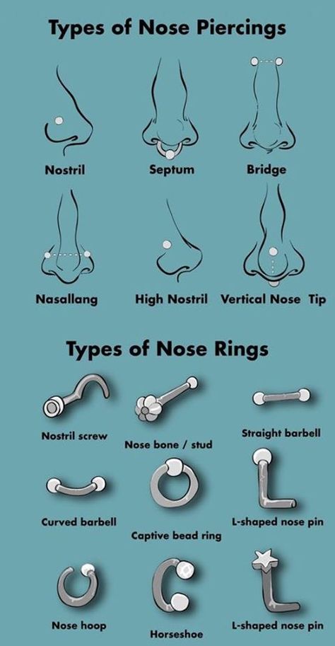 Height Exercise, Piercings Nase, Orr Piercing, Piercings Bonitos, Piercing Face, Piercing Bouche, Cute Nose Piercings, Ear Piercings Chart, Piercing Chart