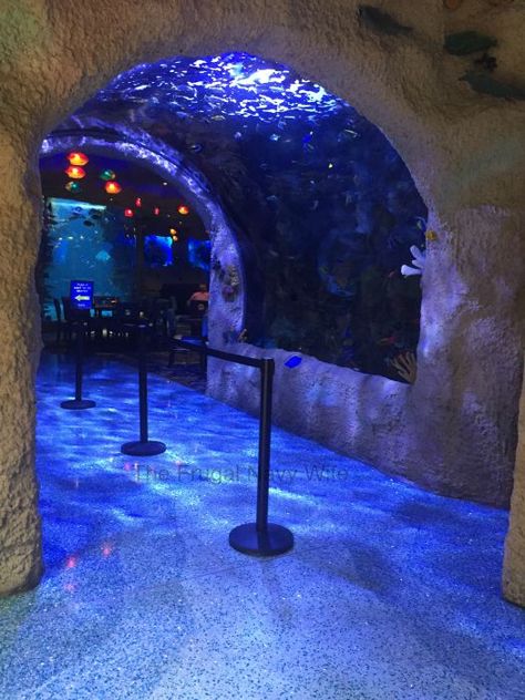 Aquarium Restaurant Nashville, Tennessee – An Underwater Dining Experience Aquarium Restaurant, Restaurant Fish, Tennessee Road Trip, Nashville Vacation, Rainforest Cafe, Tennessee Travel, Nashville Trip, Tennessee Vacation, Navy Wife