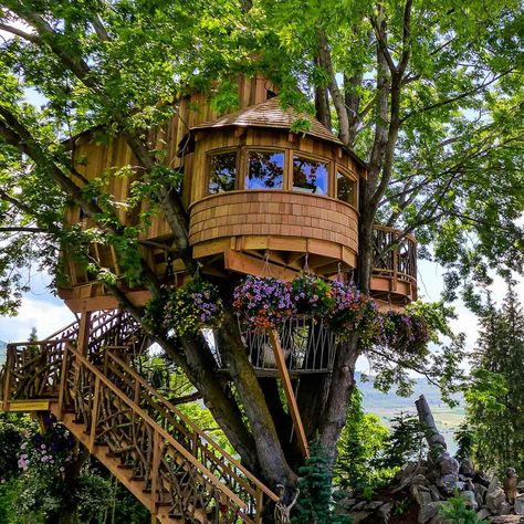 Casa Dos Hobbits, Treehouse Point, Beautiful Tree Houses, Treehouse Masters, Canopy And Stars, Building A Treehouse, Tree House Plans, Tree House Diy, Bird Barn