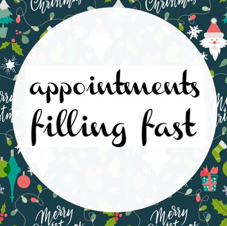 No Appointments Available, No Shows Appointment Quotes, Evening Appointments Available, Now Booking Holiday Appointments, Book Holiday Appointments Now, Holiday Appointment Salons, Book Your Christmas Hair Appointment, Book Your Holiday Appointments, Christmas Appointments Available Salon