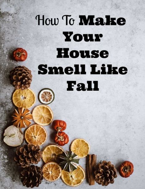 Do you crave fall aromas? Bring them inside! Try one or all of these 3 simple ways to make your home smell like fall. Fall Smells For The Home, House Smell Like Fall, Home Smell Like Fall, Mulled Cider Recipe, Smell Like Fall, Apple Pie Candle, Cinnamon Smell, Fall Smells, Diy Halloween Food