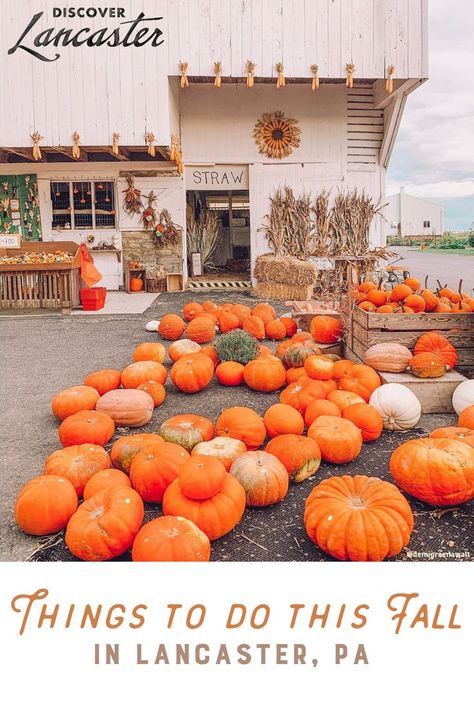 Check out some fall fun this season in Lancaster County, PA! Lancaster Central Market, Amish Pennsylvania, October Events, Best Pumpkin Patches, Pennsylvania Travel, Start A Blog For Beginners, Lancaster County Pa, Fall Festivals, Farm Fun