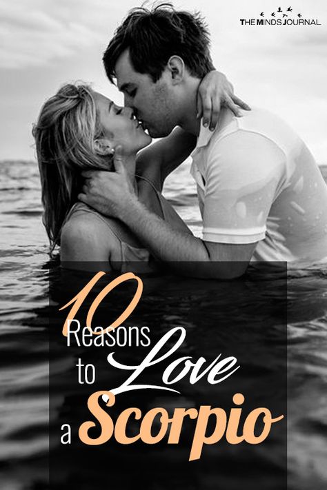 10 Reasons to Love a Scorpio (Including their Sexual Mystique) Scorpio Sexuality, Zodiac Personalities, Zodiac Traits, Zodiac Compatibility, Scorpio Zodiac, Zodiac Love, Horoscope Signs, One Moment, 10 Reasons