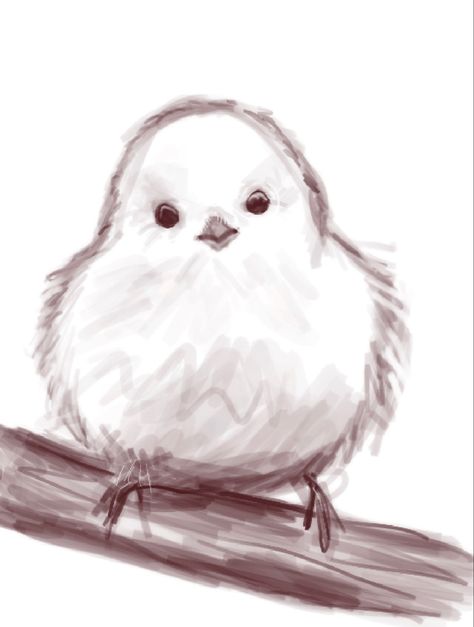 Shima Enaga Drawing, Cute Robin Drawing, Bird Drawing Aesthetic, Aesthetic Bird Drawing, Fat Bird Drawing, Cute Bird Drawing, Bird Sketches, Underrated Artists, Bird Doodle