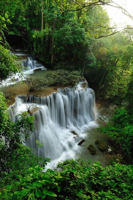 Tropical Rainforest Waterfalls.. Rainforest Waterfall, Forest Waterfall, Have Inspiration, Les Cascades, Rain Forest, Tropical Rainforest, Beautiful Waterfalls, Alam Semula Jadi, Pretty Places