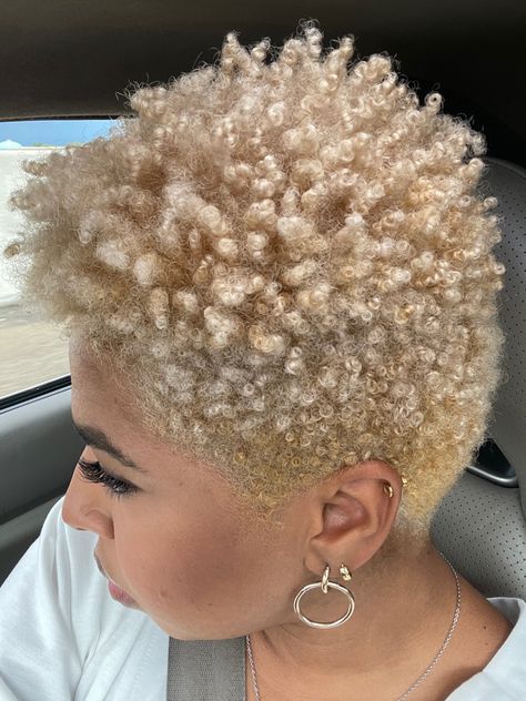 Short Blonde Pixie Cut, Black Pixie Cut, Short Blonde Pixie, Blonde Natural Hair, Short Natural Haircuts, Black Wigs, Tapered Natural Hair, Natural Hair Cuts, Natural Hair Short Cuts