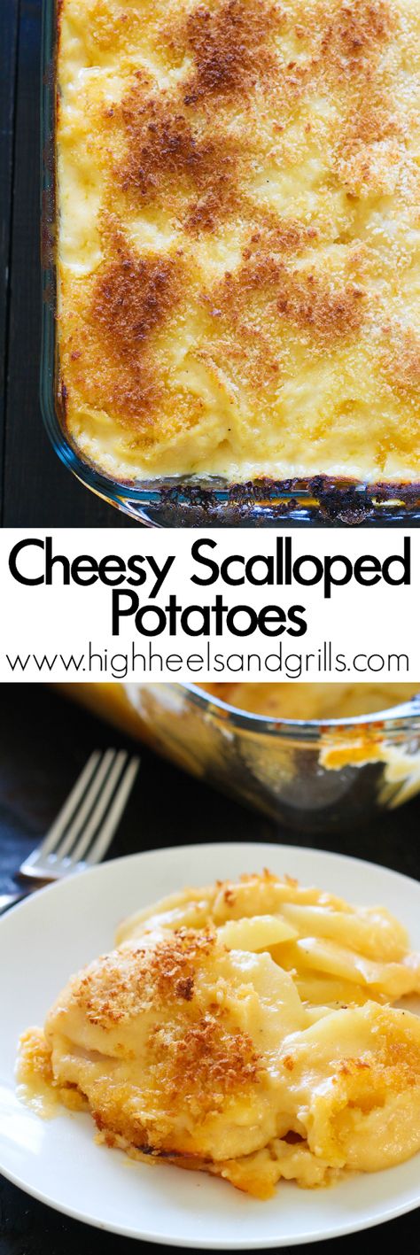 Cheesy Scalloped Potatoes - These are a great and easy side dish for any dinner! http://www.highheelsandgrills.com/2015/04/cheesy-scalloped-potatoes.html Grits Recipes, Gram Cracker, Potato Casseroles, Best Scalloped Potatoes, Cheesy Scalloped Potatoes, Christmas Yummies, Galway Girl, Ground Beef Stroganoff, Potatoes Recipes