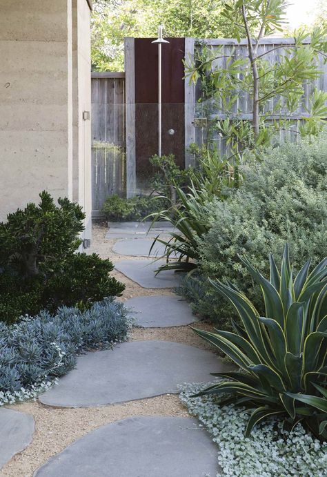 Landscape Texas Front Yard, Steep Backyard, Paver Path, Australian Native Garden, Woodland House, Gravel Patio, Courtyard Design, Australian Garden, Garden Idea