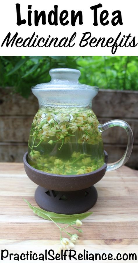 Linden Tea, Cramp Remedies, Medicinal Tea, Herbal Teas Recipes, Herbal Tea Blends, Healthy Teas, Tea Benefits, Menstrual Cramps, Healing Herbs