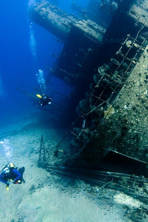 Thistlegorm Shipwreck - Egypt Tours Portal Scuba Diving Bucket List, Dive Magazine, Underwater Park, Scuba Equipment, Underwater Sculpture, Scuba Diving Photography, Saltwater Crocodile, Fauna Marina, Egypt Tours