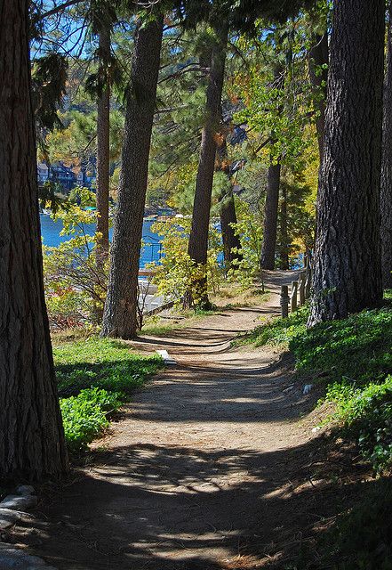 Arrowhead Lake Association trail by sjb5, via Flickr Lake Arrowhead Aesthetic, Lake Arrowhead California, Lake Arrowhead, National Parks Usa, Conference Center, Travel Reading, Landscape Photos, British Columbia, Day Trips