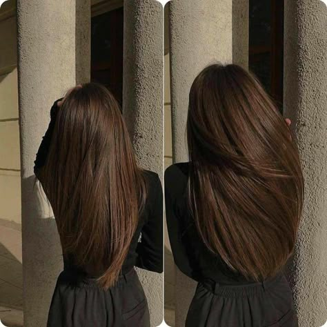 Brown Hair Balayage, Haircuts For Long Hair, Hair Inspiration Color, Brunette Hair, Layered Haircuts, Aesthetic Hair, Gorgeous Hair, Balayage Hair, Straight Hair