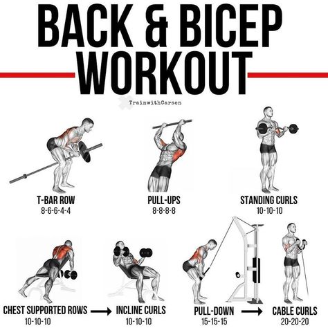 Cable Curls, Small Muscles, Strength Mobility, Back And Bicep Workout, Bicep Workout, T Bar Row, Dumbbell Curls, Muscle Building Workouts, Weight Training Workouts