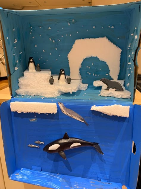 Antartic in a shoe box homework assignment Artic Animal Diarama, Ocean Shoe Box Project, Orca Diorama School Projects, Diorama Ideas For Kids School Projects Shoe Box Animal Habitats, Shoe Box Habitat Projects, Orca Craft Preschool, Shoe Box Diorama Projects, Christmas Shoe Box Ideas, Penguin Habitat Shoebox Project