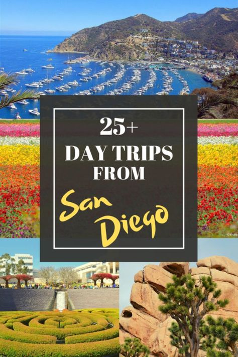 25+ Favorite Day Trips from San Diego San Diego Vacation, San Diego Travel, Usa Travel Guide, California Travel Road Trips, Surf City, Usa Travel Destinations, United States Travel, North America Travel, Road Trip Usa