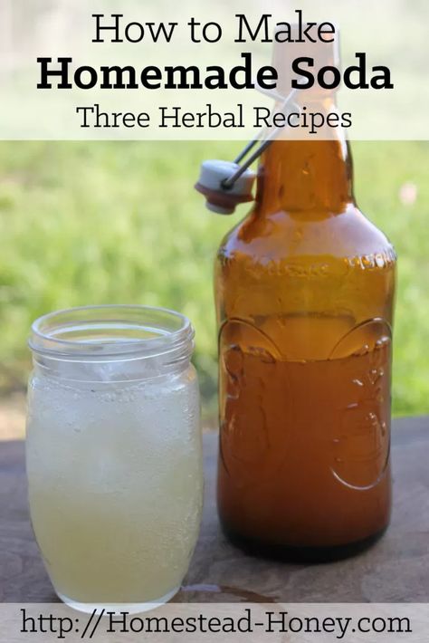 Homemade Soda, Fermentation Recipes, Soda Recipe, Fermented Drink, Herbal Recipes, Homemade Drinks, Fermented Foods, Fermenting, How To Make Homemade