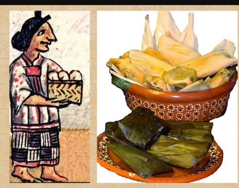 Maize was held as one of the staples in the Aztec diet. Not only could they eat the corn whole, the also ground it up into a fine powder and made tortillas. Maize was also used as an offering to the agricultural gods for a good harvest. I used this website Mexico lure as a primary source as this was also written by Ian Mursell as he is credentialed. Aztec Food, Hearth Stone, Mexican Corn, Healthy Superfoods, Ancient Mayan, Basic Facts, Flavored Water, Native American Culture, Mexican Culture